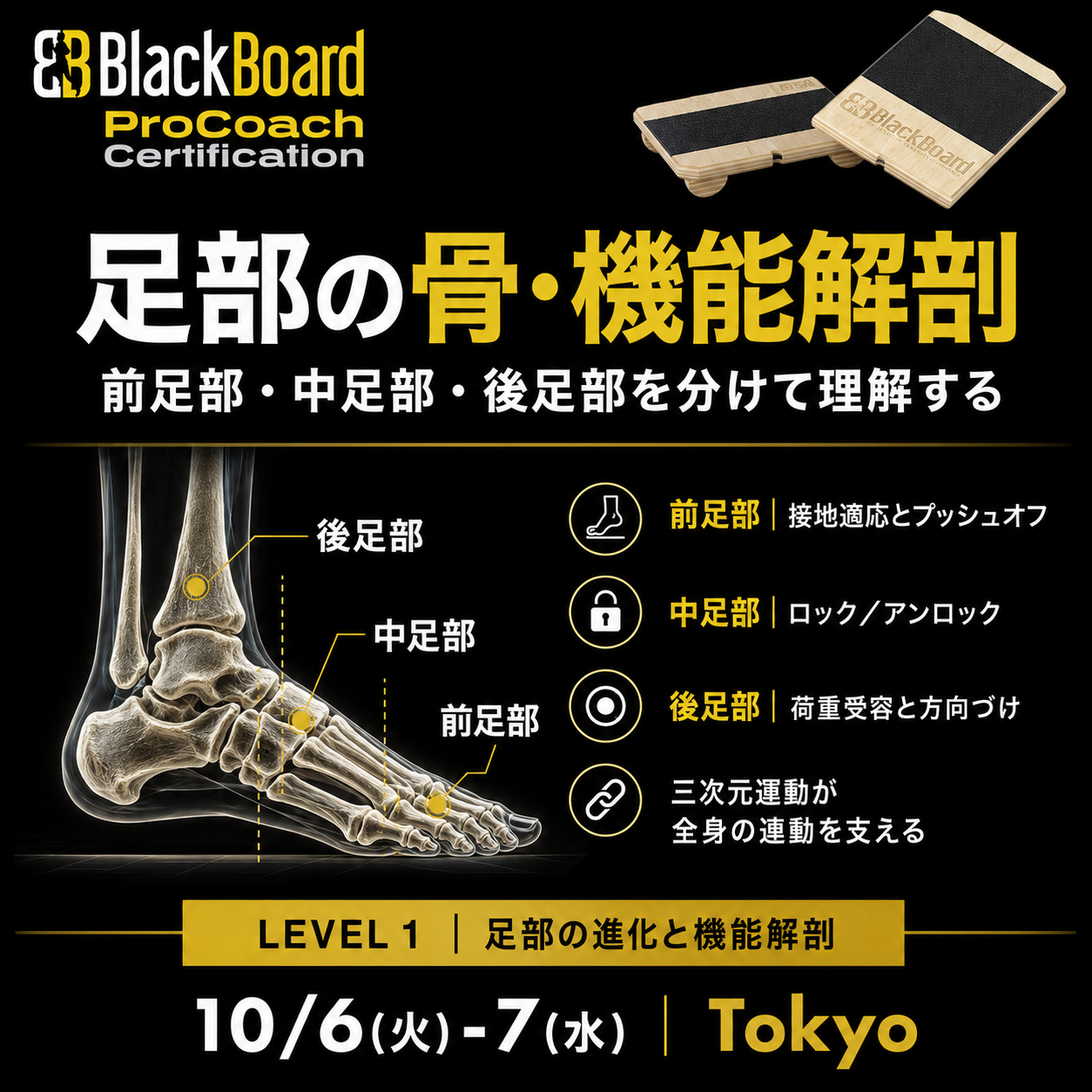 BlackBoard PRO Coach Level 1 足部の骨・機能解剖