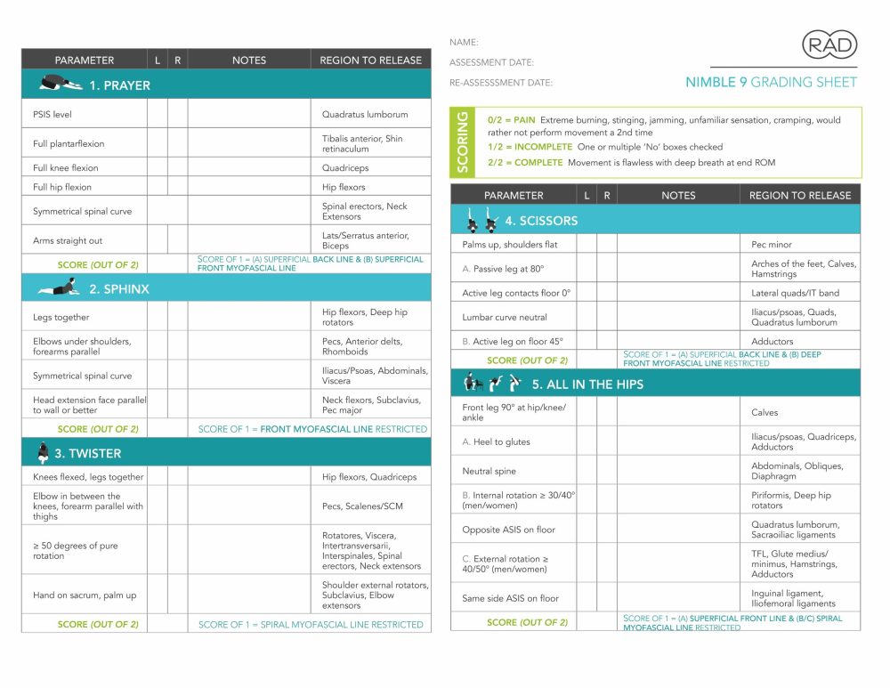 Nimble 9 Grading Sheet Secure Preview